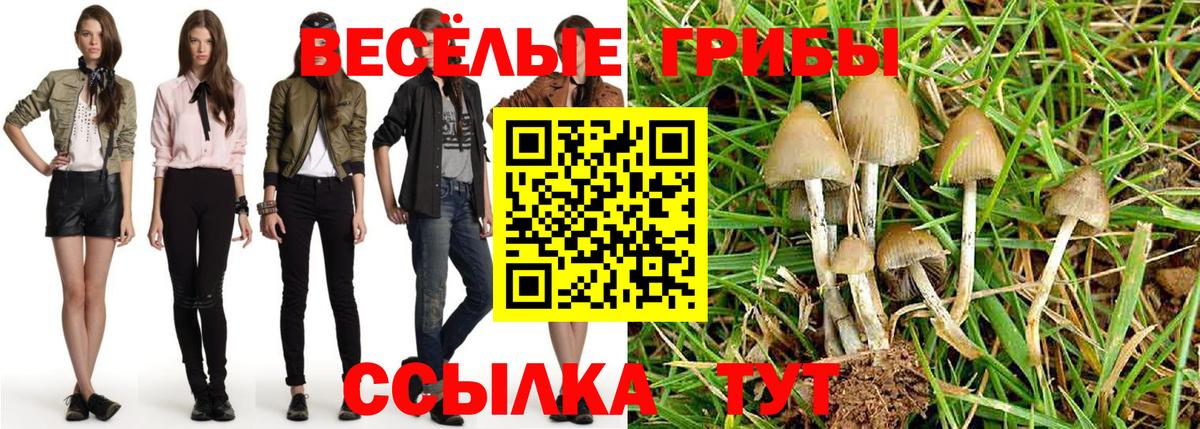 Галлюциногенные грибы Psilocybine cubensis Острогожск