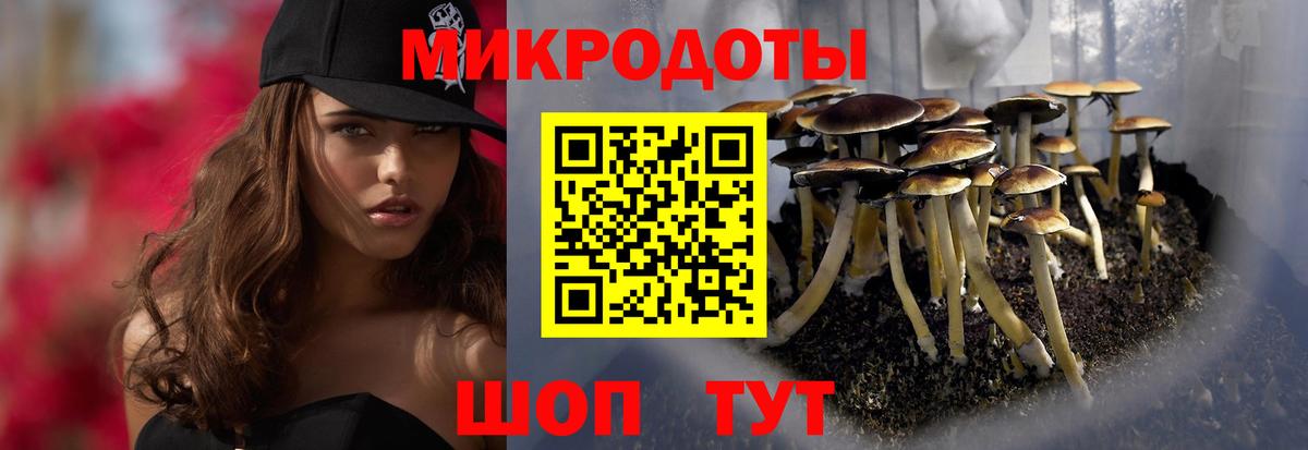 Псилоцибиновые грибы мухоморы  Псилоцибиновые грибы прущие грибы  Вход с VPN  Острогожск 